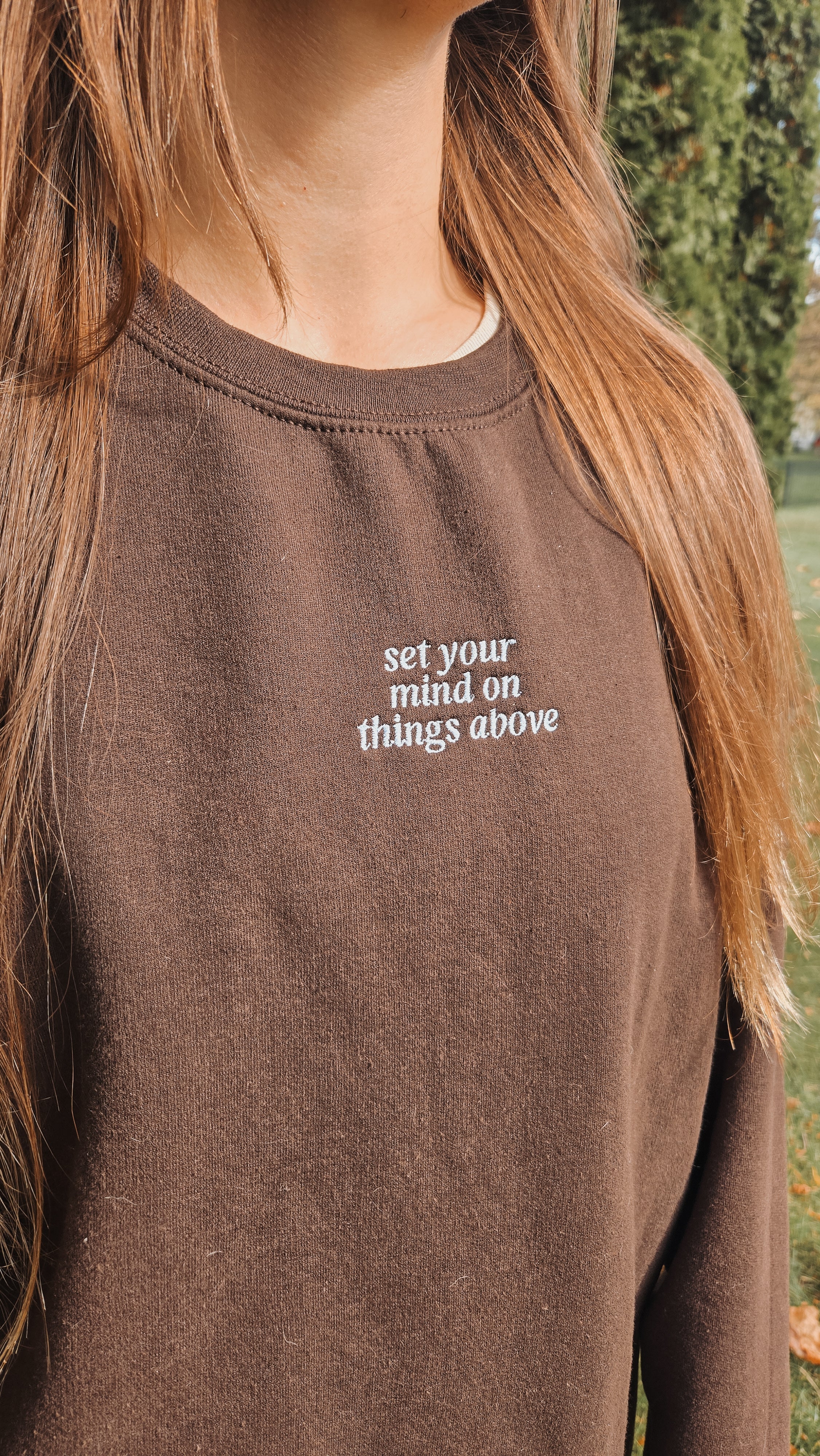 On Things Above | Chocolate Embroidered Crewneck