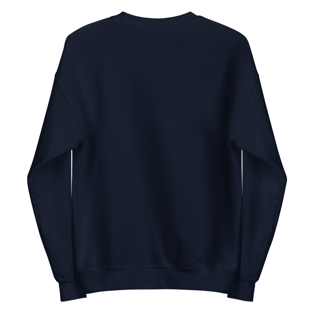 "Count It All Joy" | Embroidered Navy Crewneck